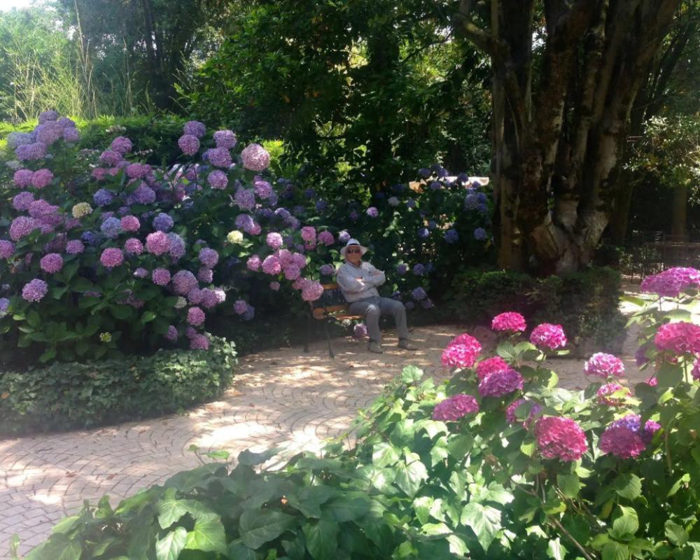 фото Villa Abbamer
