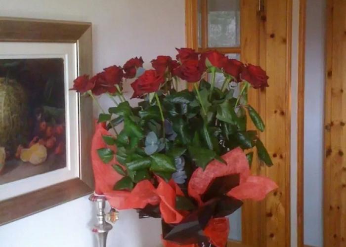 Brae House Bed & Breakfast