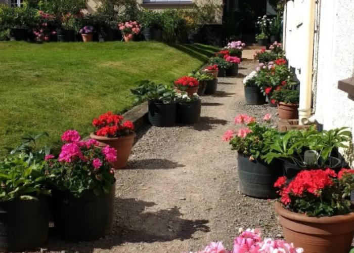 Brambles Bed and Breakfast