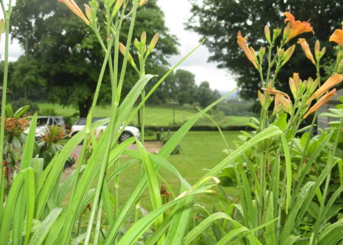 Brambles Bed and Breakfast