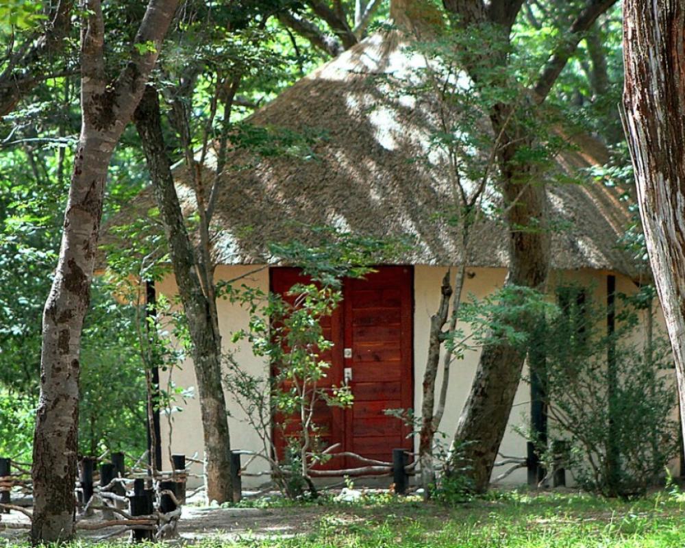 Gwango Elephant Lodge