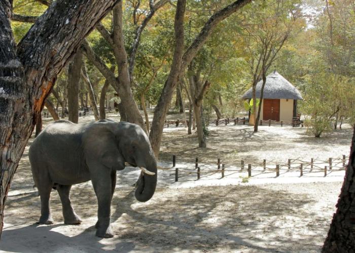 Gwango Elephant Lodge