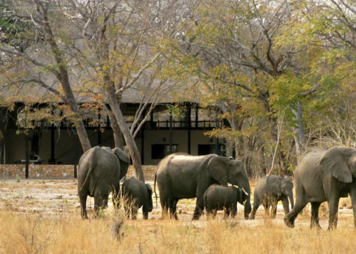 Gwango Elephant Lodge