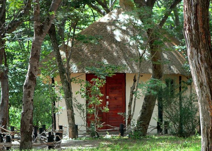 Matabeleland North