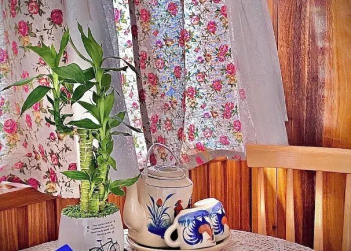 Sea-breeze homestay