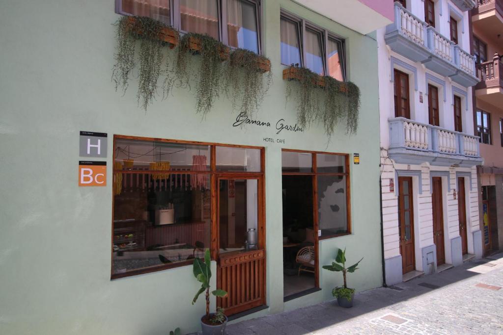 Banana Garden La Palma