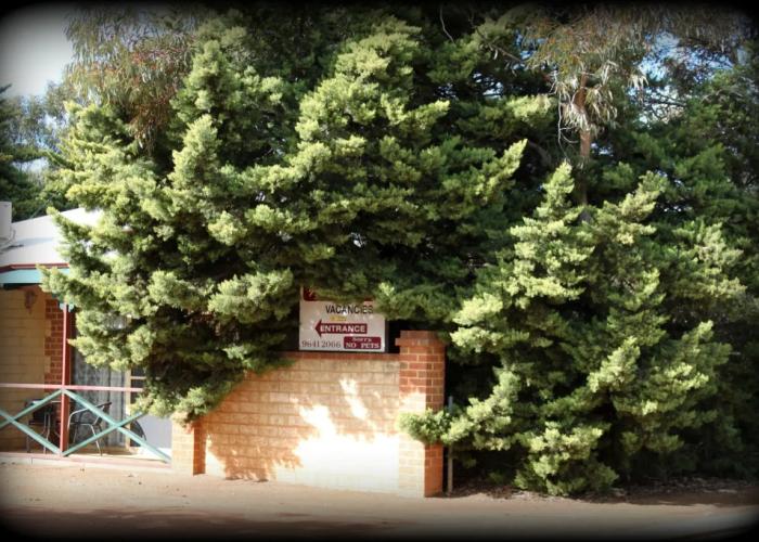 York Motel