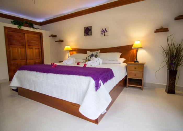 Bocawina Rainforest Resort & Adventures