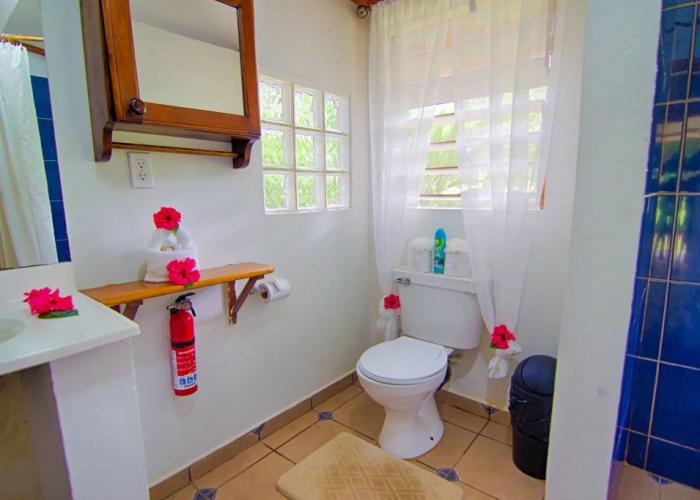 Bocawina Rainforest Resort & Adventures