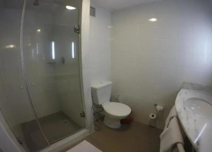 ibis Tamboré