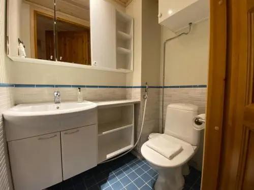 Levin Alppitalot Alpine Chalets Deluxe