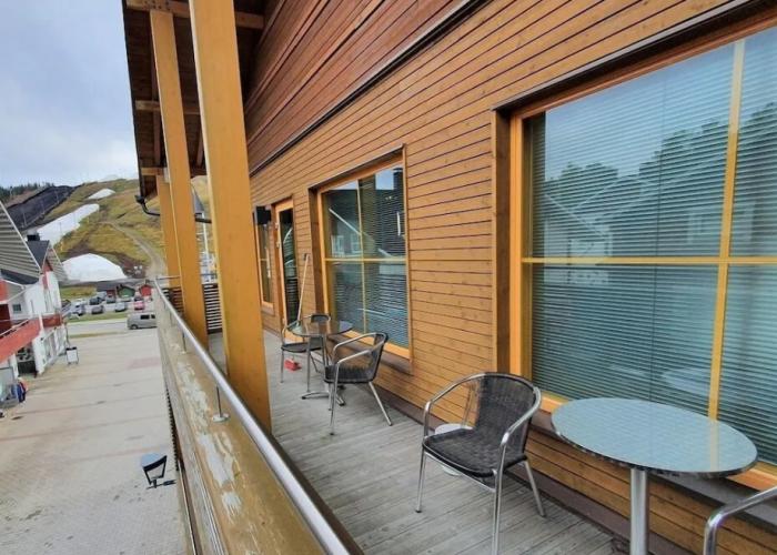 Levi Suites Levi Gold