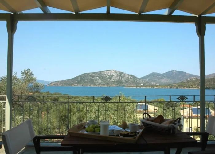 Gera's Olive Grove