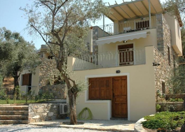 Gera's Olive Grove