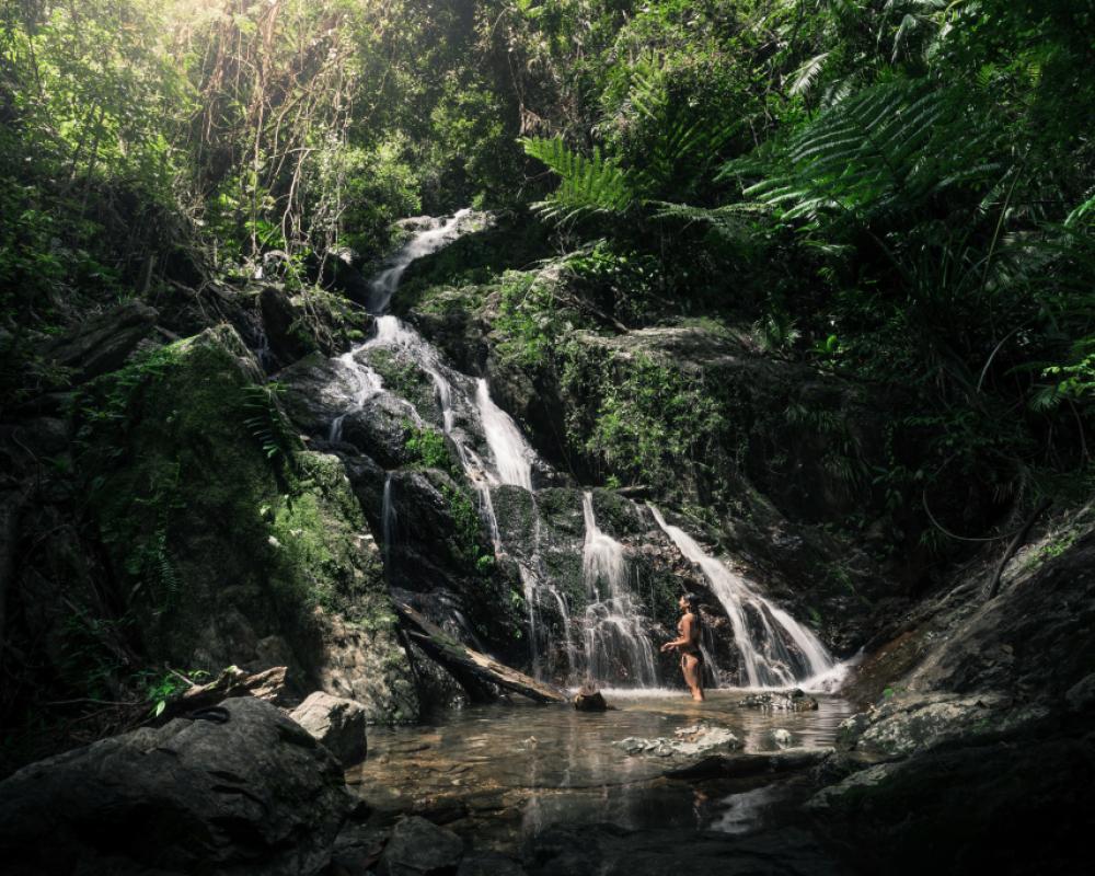 фото Daintree Ecolodge