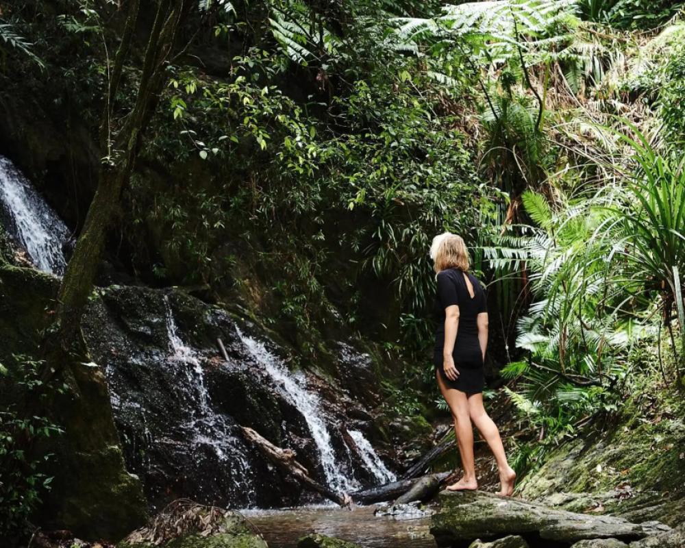 фото Daintree Ecolodge