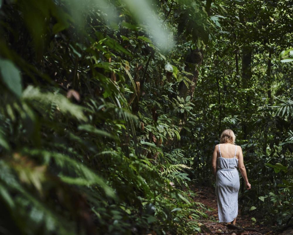 фото Daintree Ecolodge