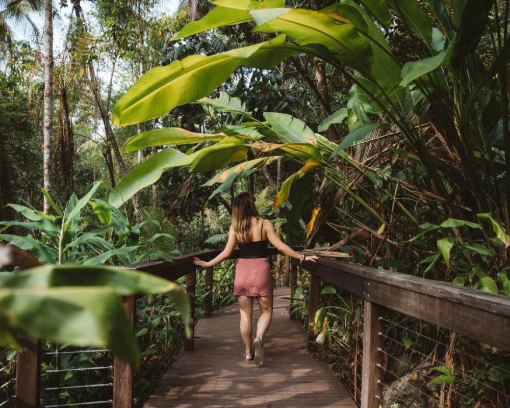 фото Daintree Ecolodge