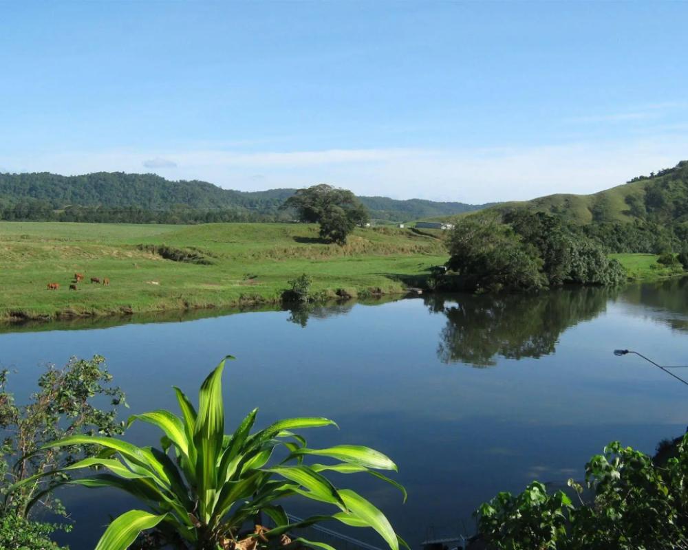 фото Daintree Riverview