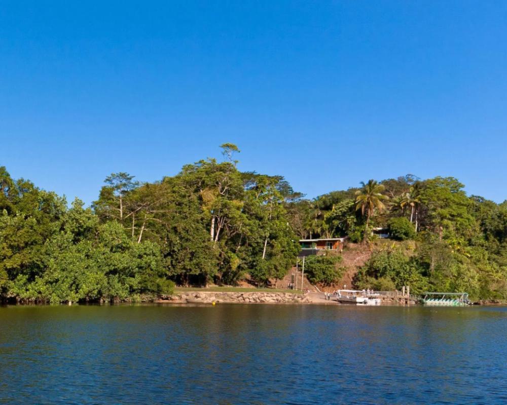 фото Daintree Riverview