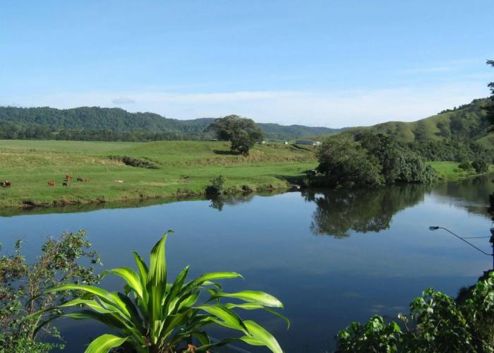 Daintree Riverview