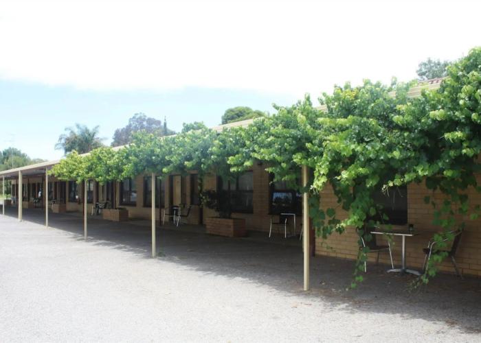 Angaston Vineyards Motel