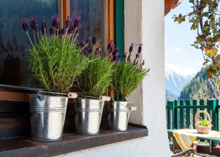 Alluring Apartment in Mayrhofen near Forest