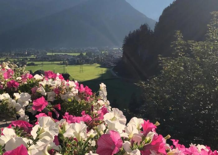 Alluring Apartment in Mayrhofen near Forest