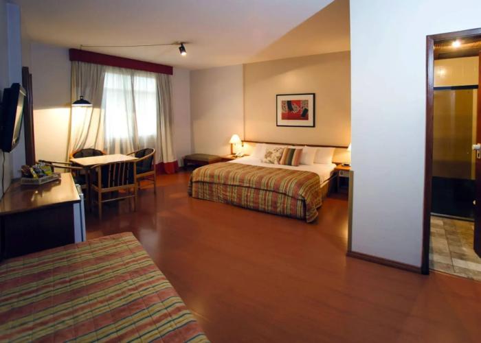 César Park Juiz de Fora Hotel