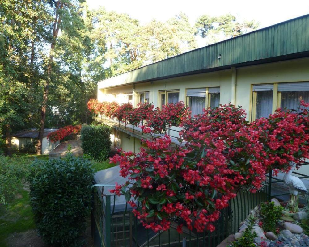 Hotel Restaurant Les Pins