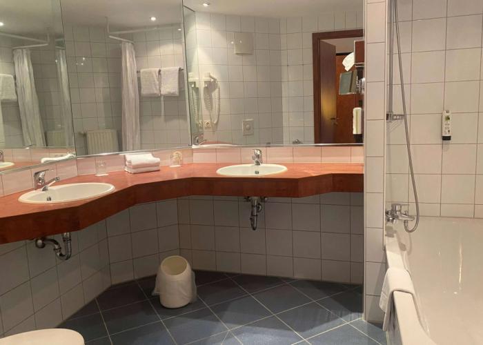 Amedia Frankfurt Russelsheim Trademark Collection by Wyndham