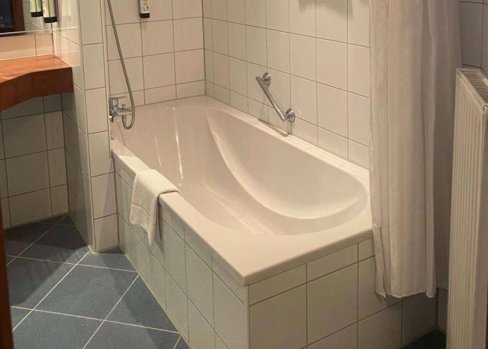 Amedia Frankfurt Russelsheim Trademark Collection by Wyndham