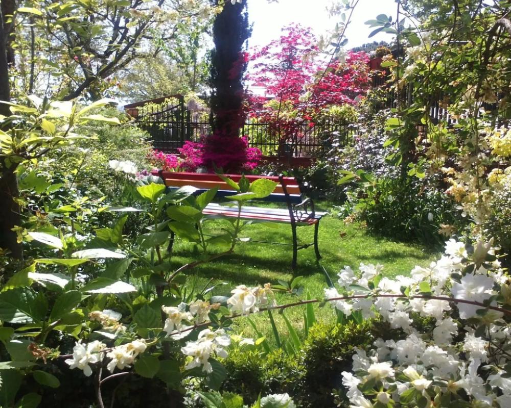 фото B&B Dimora Morelli