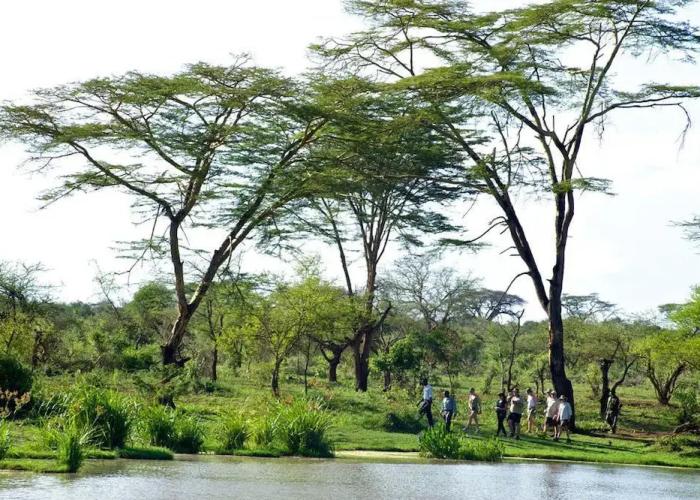 Voyager Ziwani Tented Camp