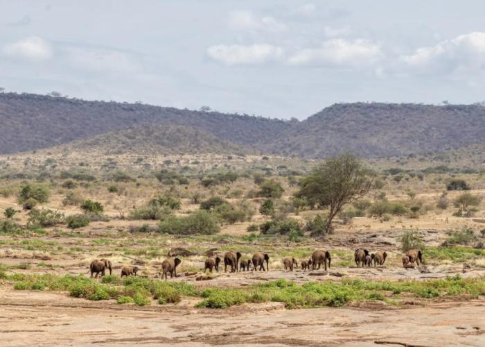 Sentrim Tsavo Lodge