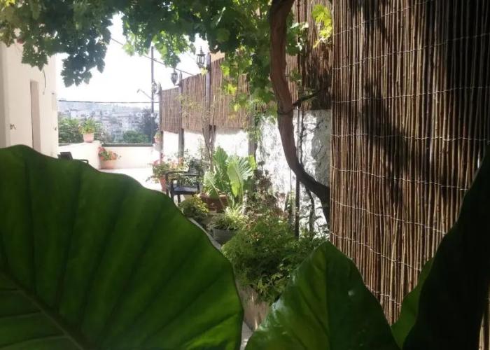 Rosana guest house
