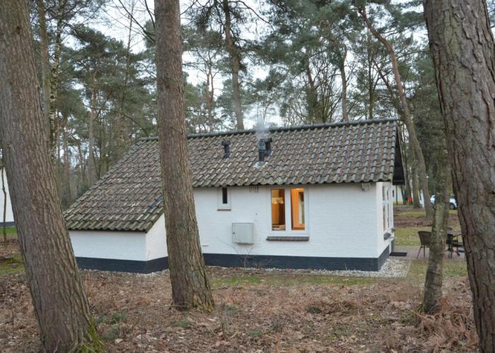 Completely Detached Bungalow in a Nature-filled Park by a Large fen