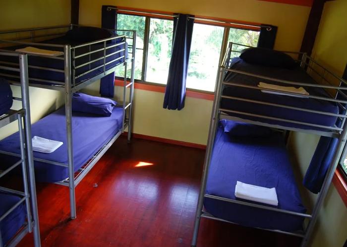 Jackaroo Treehouse Mission Beach - Hostel