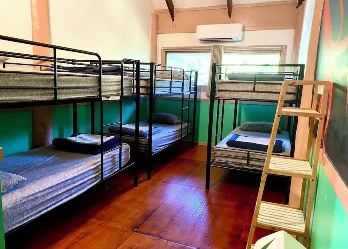 Jackaroo Treehouse Mission Beach - Hostel