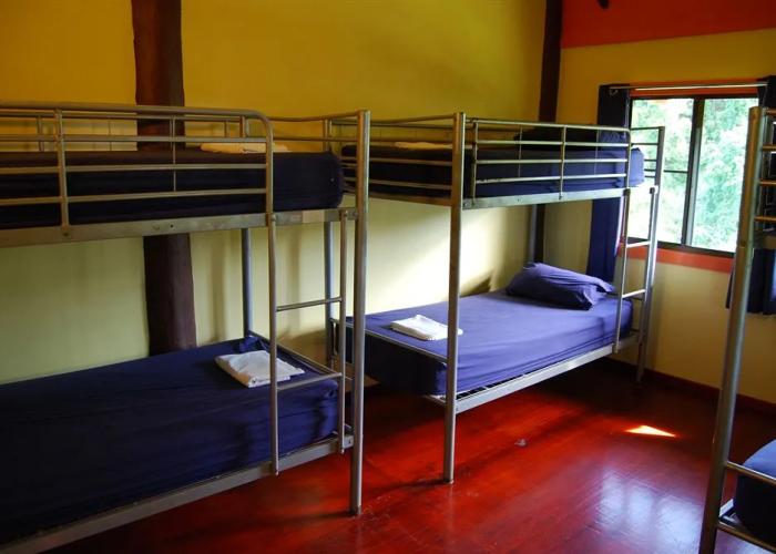 Jackaroo Treehouse Mission Beach - Hostel