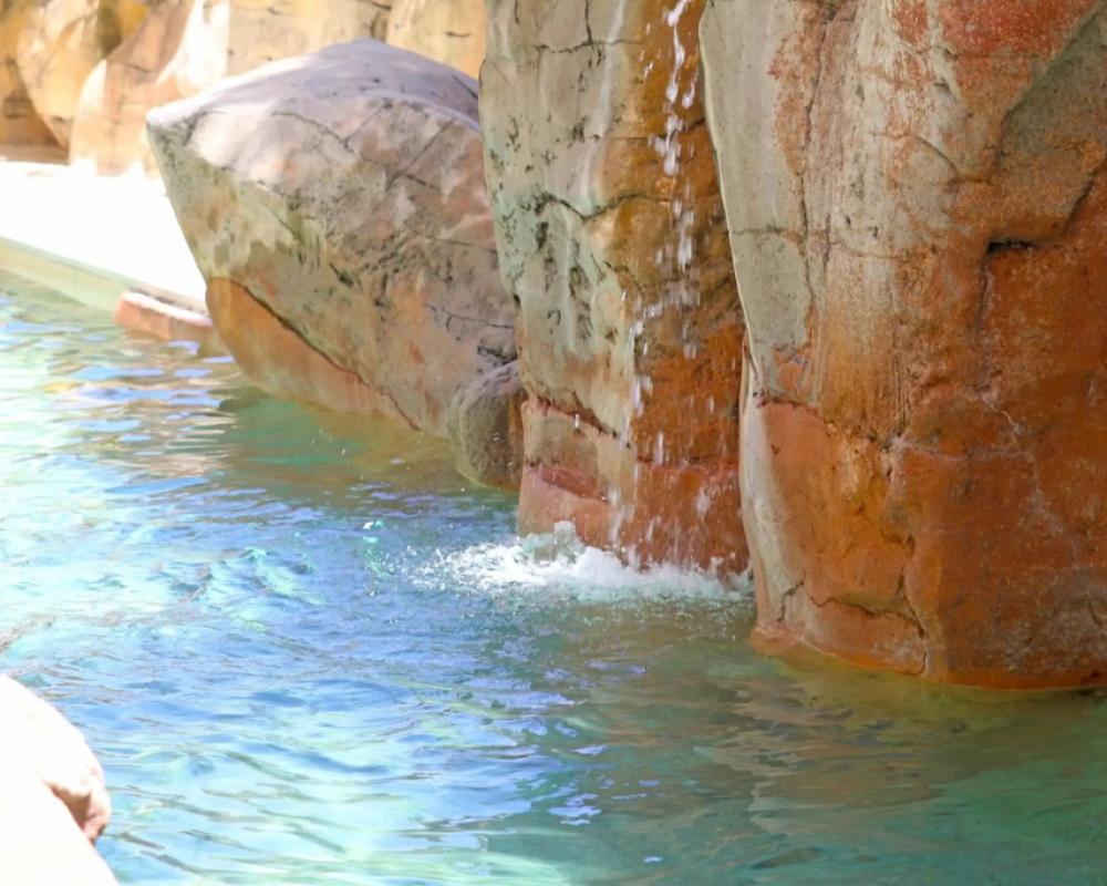 фото Caribbean Resort