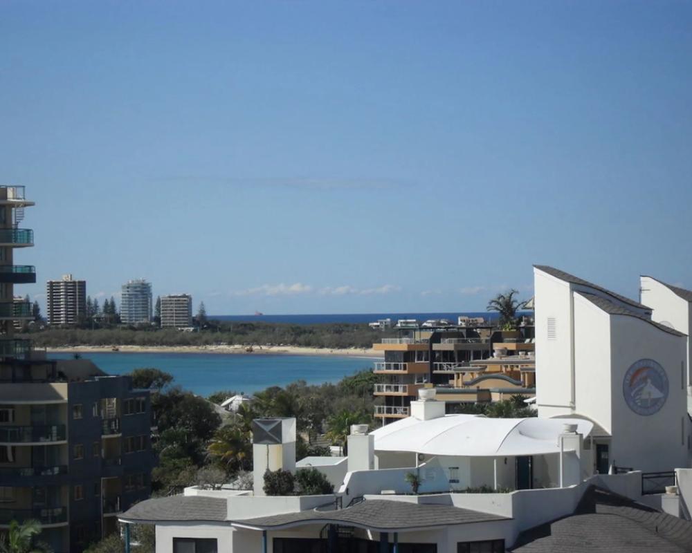 фото Pandanus Mooloolaba