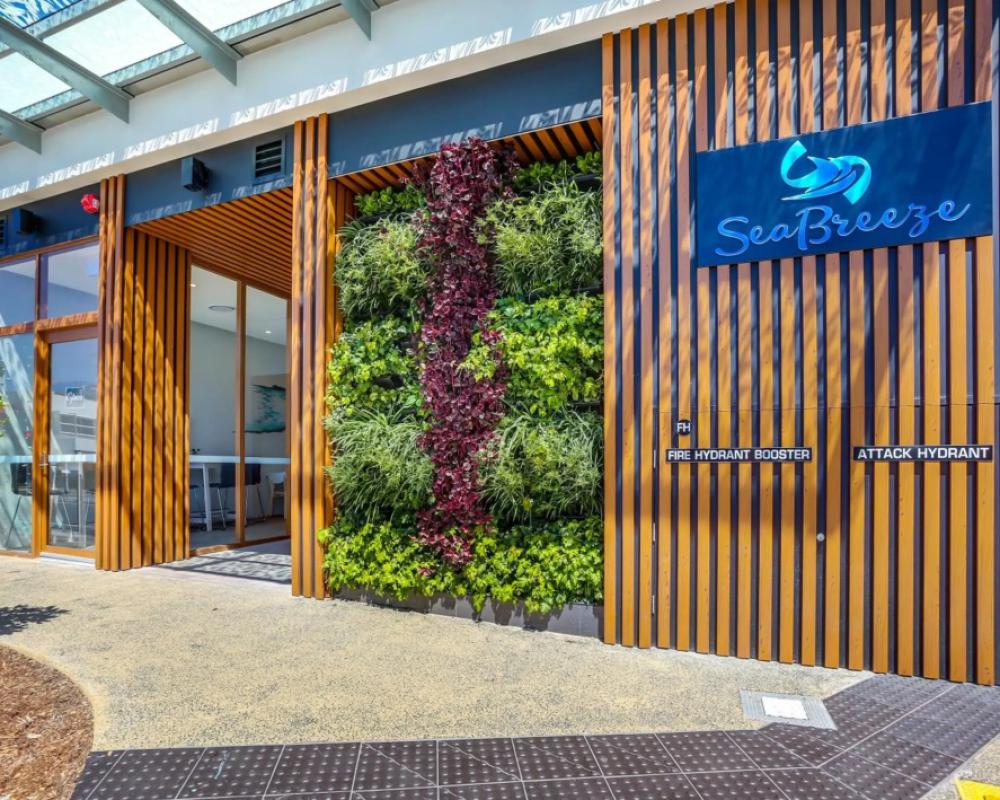 фото Direct Collective - Seabreeze Mooloolaba