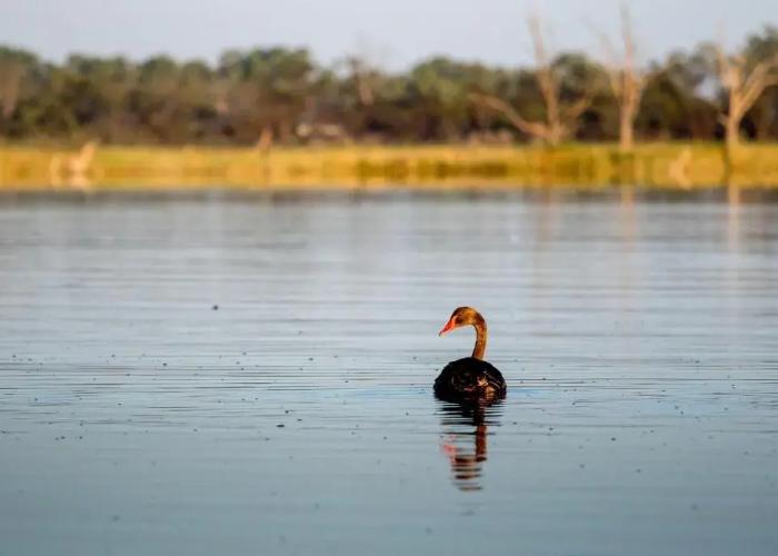 Discovery Parks - Lake Bonney