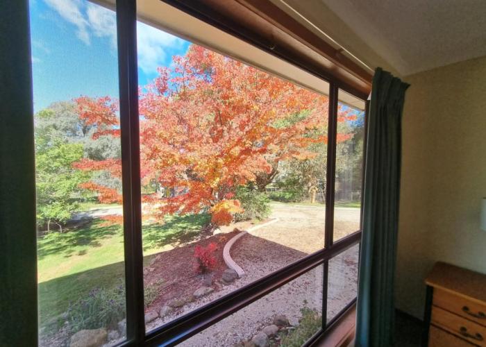 Golden Heritage Apartments Beechworth