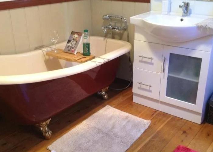 Must Love Dogs B&b