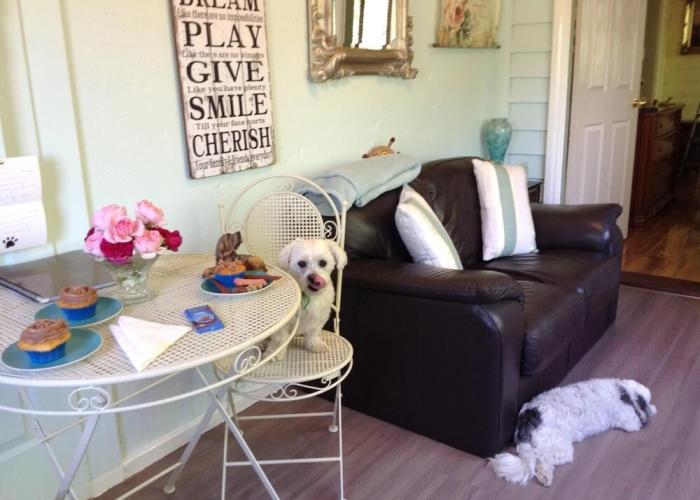 Must Love Dogs B&b