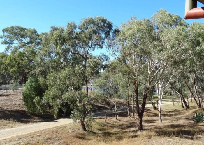 Corowa Golf Club Motel