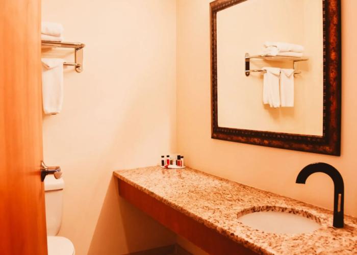 Stony Plain Inn and Suites
