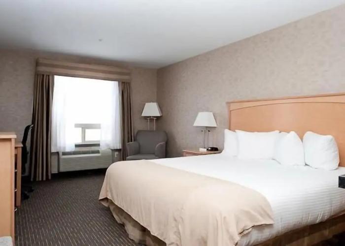 Paradise Inn & Suites Valleyview